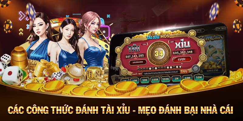 X1798 chơi game đánh bài tiến lên online